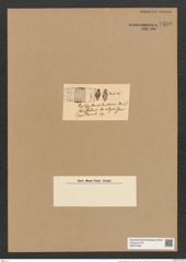 Striatella beswickii Norm. (de-Toni-Nr.: Genus 97, Species 3087) Zeichnungen Sammlung Grunow Nr. 6316 (NHMW-BOT-W0374949)